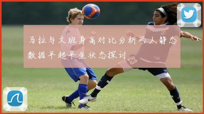 马拉与文班身高对比分析两人静态数据平起平坐状态探讨