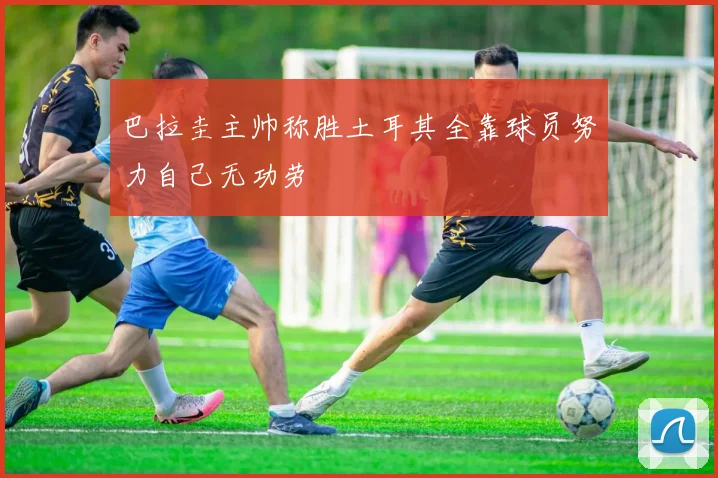 巴拉圭主帅称胜土耳其全靠球员努力自己无功劳